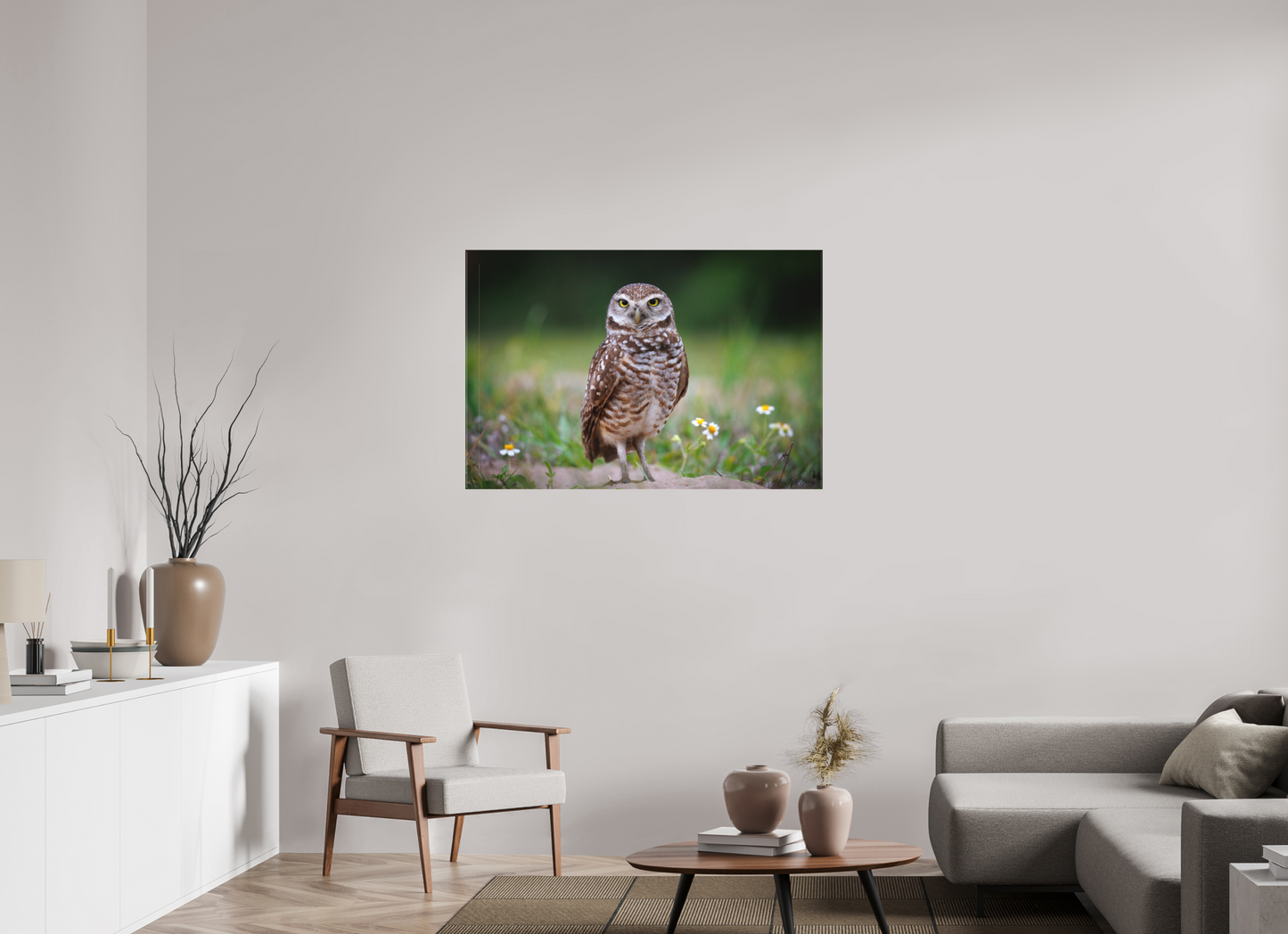 Burrowing owl stare down