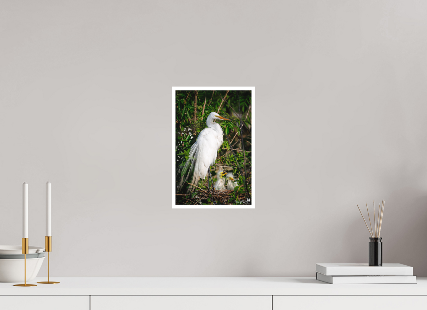 Great egret with chicks