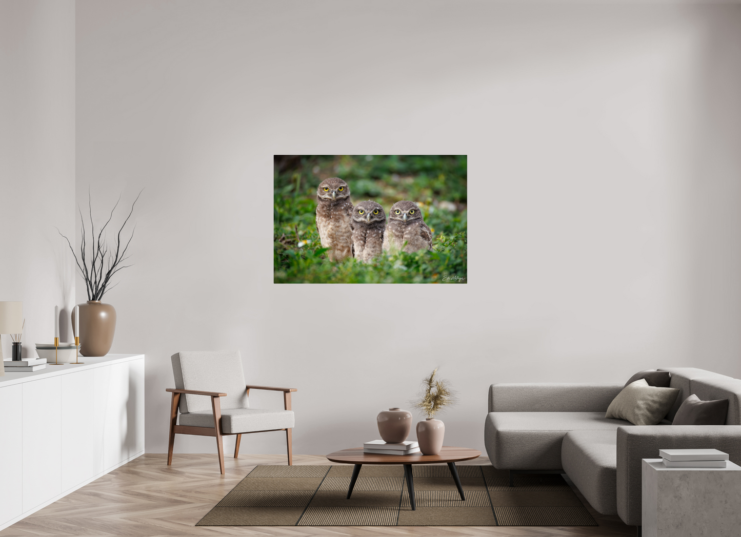 54 x 36″, Acrylic Three Little Burrowing Owls - Burrowing Owls