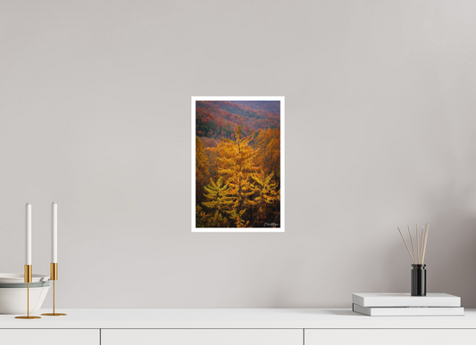8 x 12″, Fine art print "Autumn Blaze" - Smoky Mountain Ridge