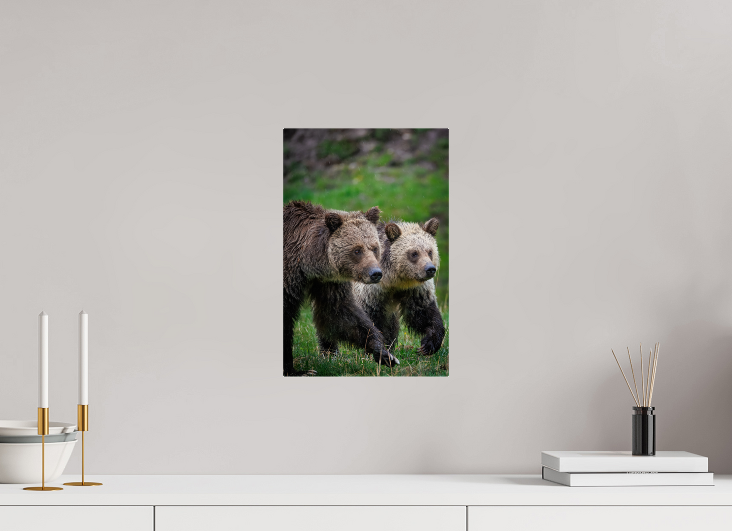 Grizzly mom and cub