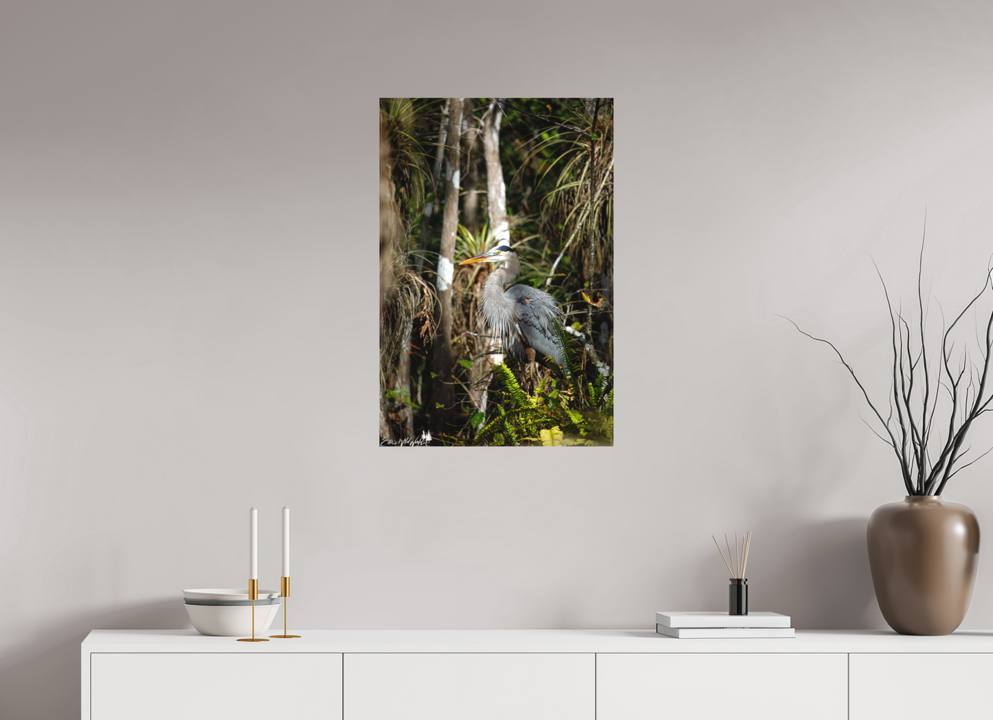 Great blue heron in the swamp