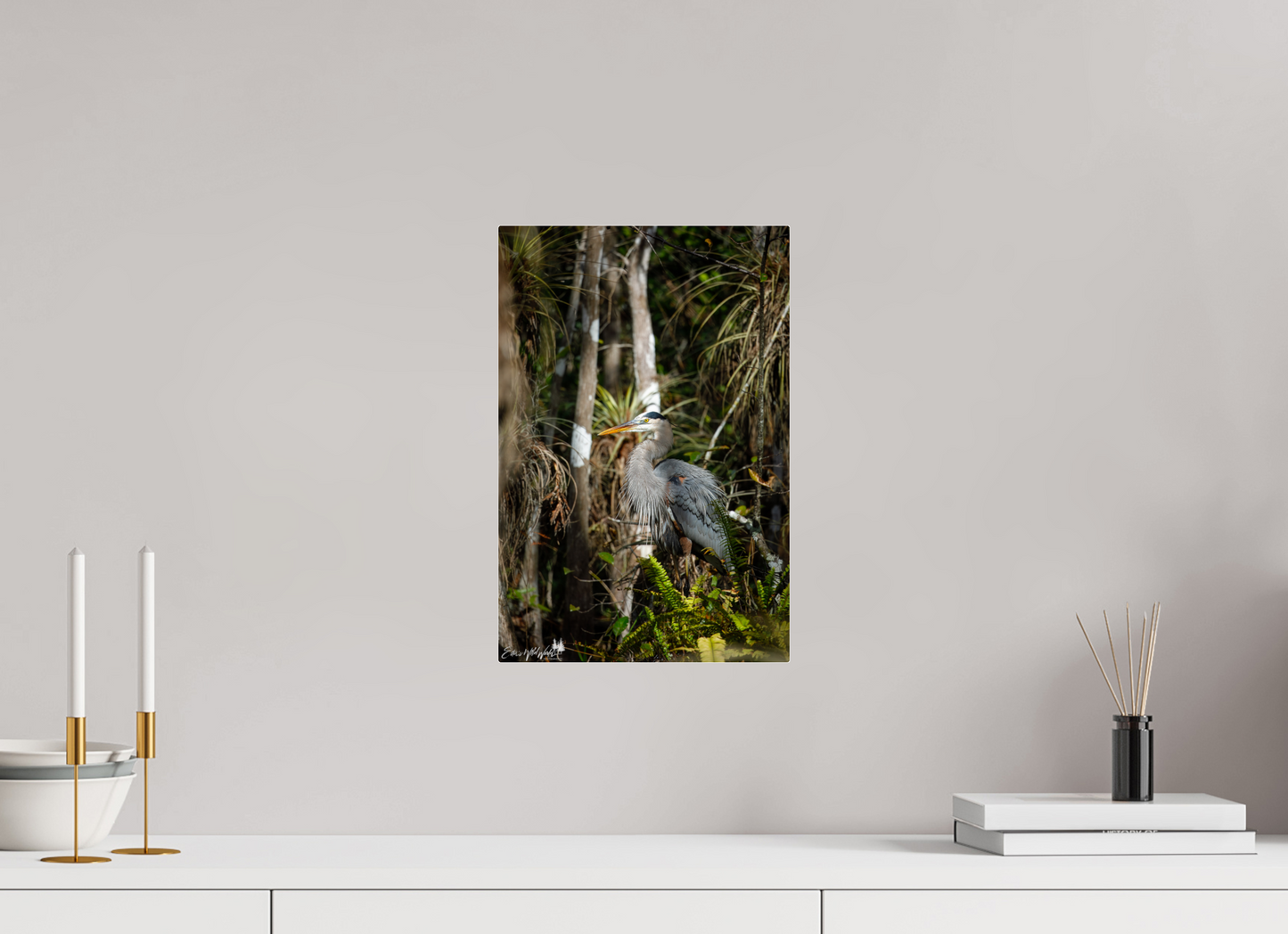 Great blue heron in the swamp
