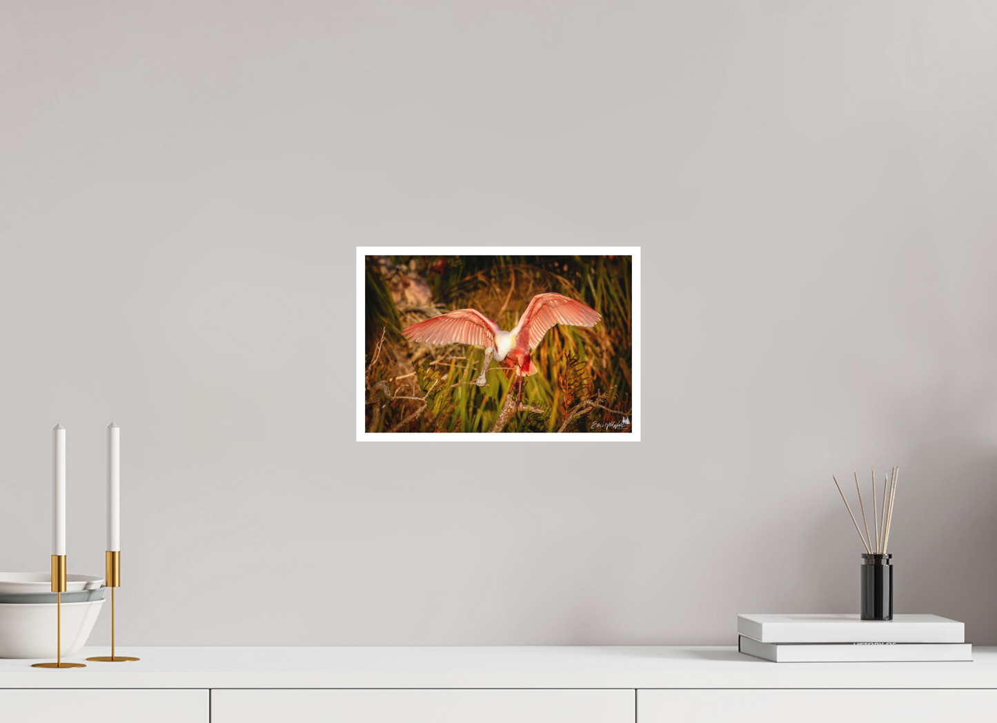 Sunset spoonbill