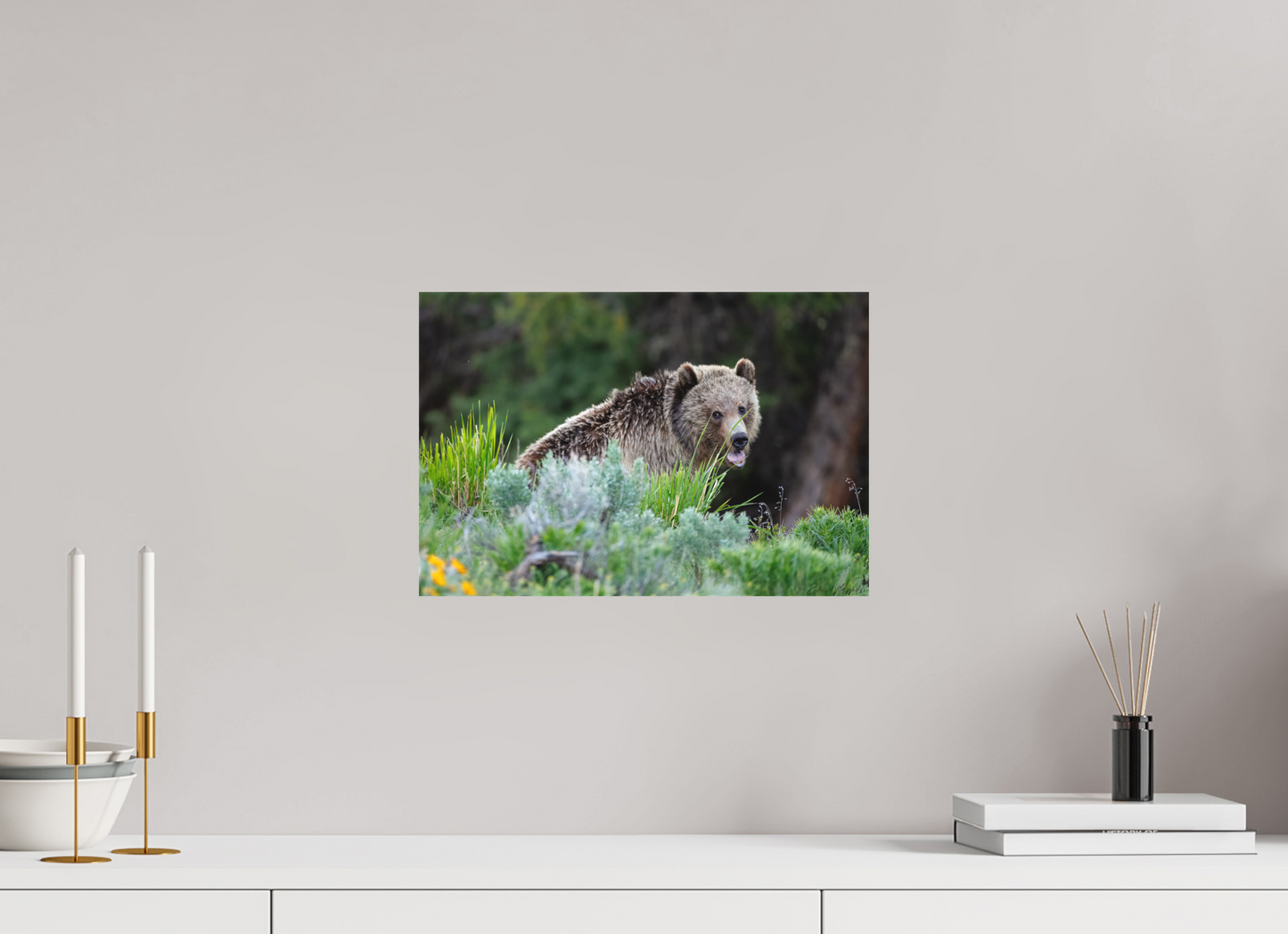 Yawning bear
