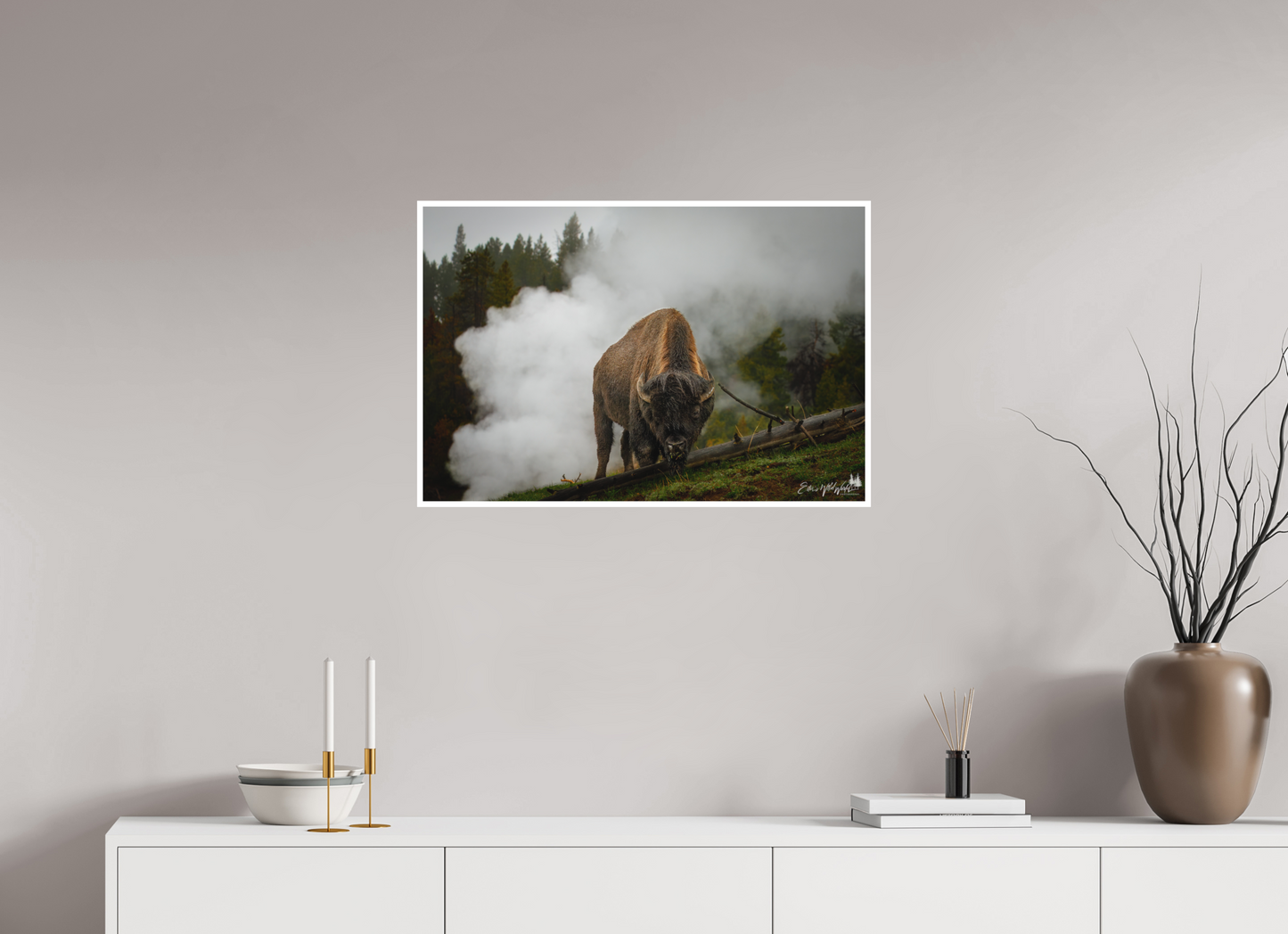 Bison in the fog