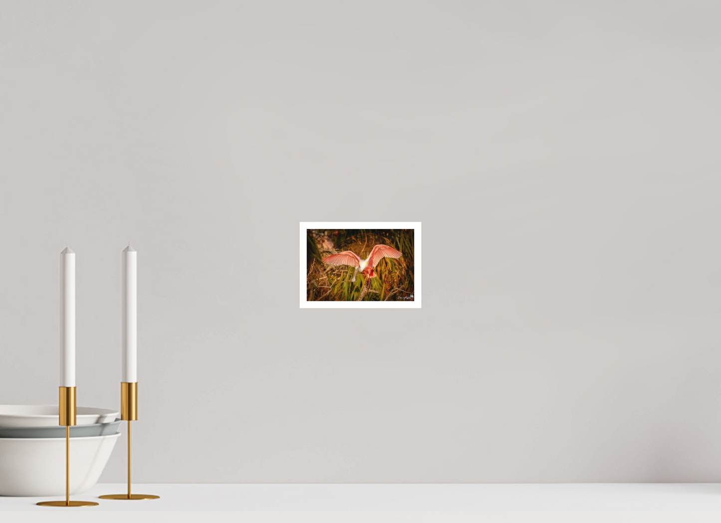 Sunset spoonbill