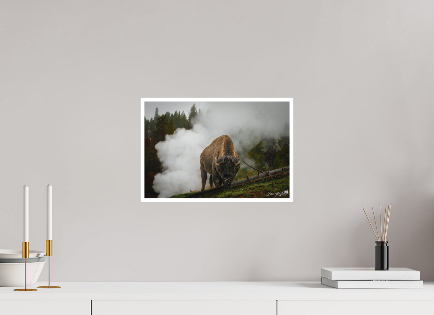 Bison in the fog