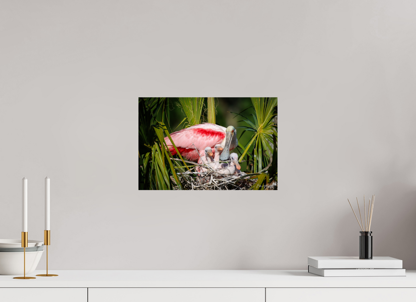 Spoonbill with teaspoons