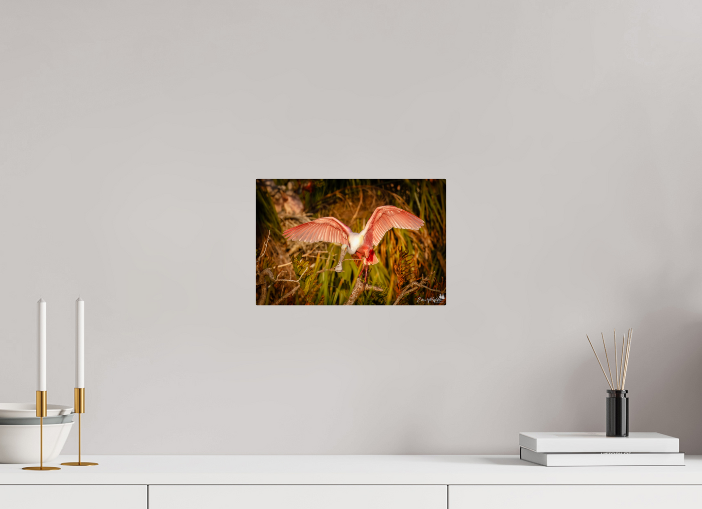 Sunset spoonbill