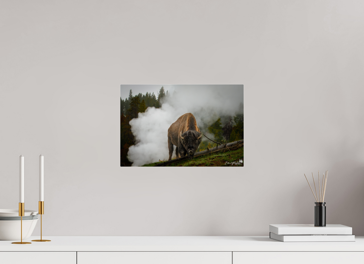 Bison in the fog