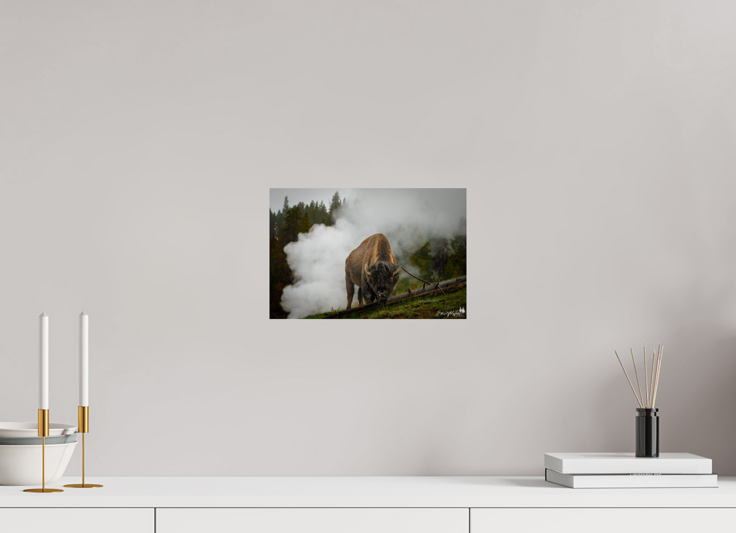 Bison in the fog