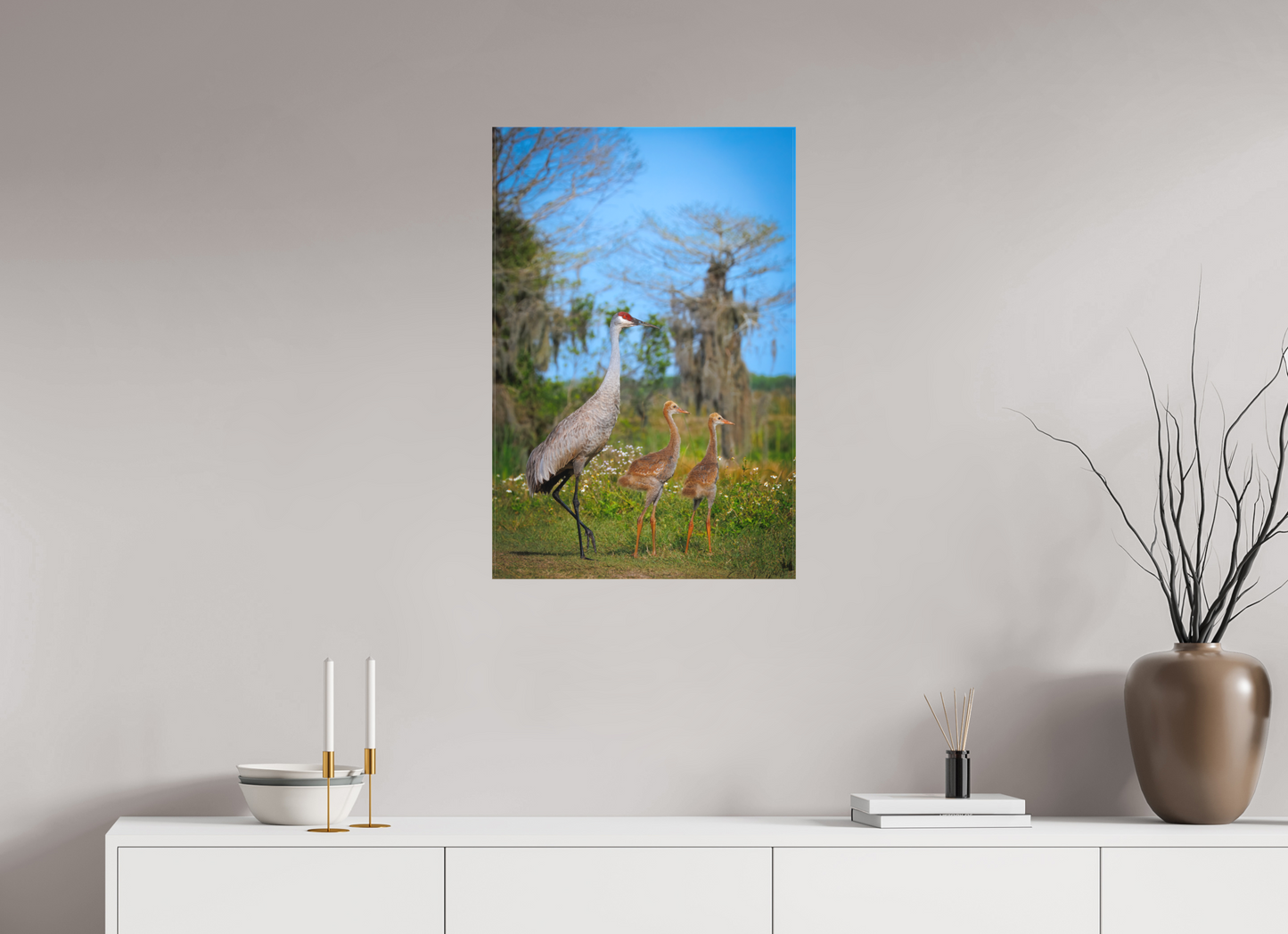 Sandhill crane with two chicks