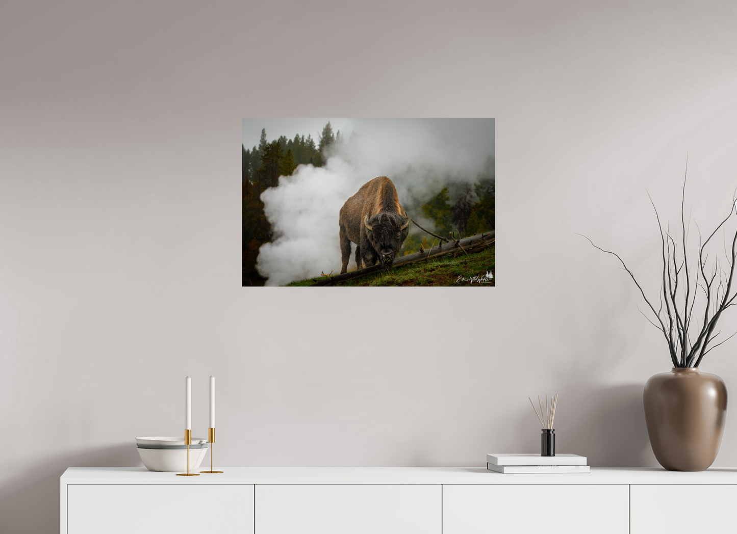 Bison in the fog