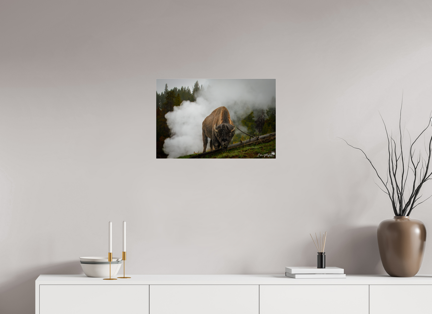 Bison in the fog