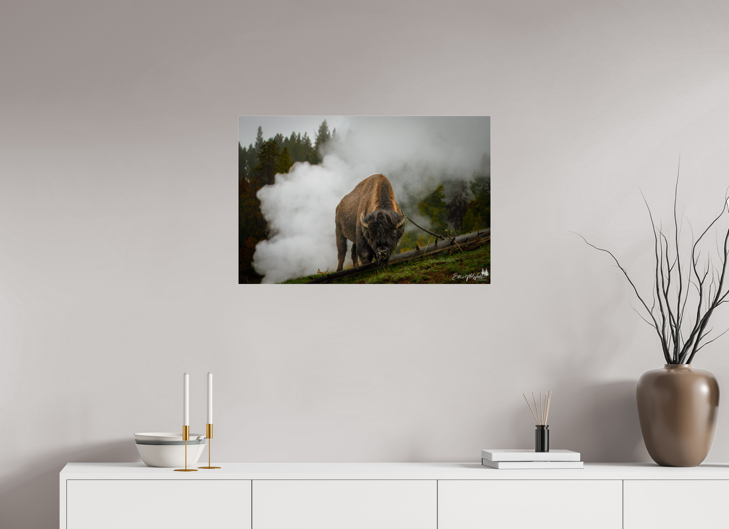 Bison in the fog