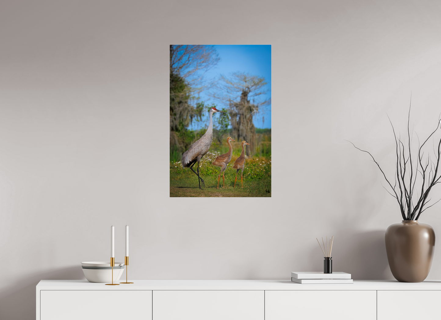 Sandhill crane with two chicks