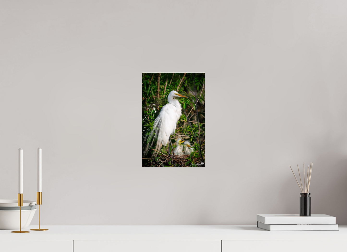 Great egret with chicks