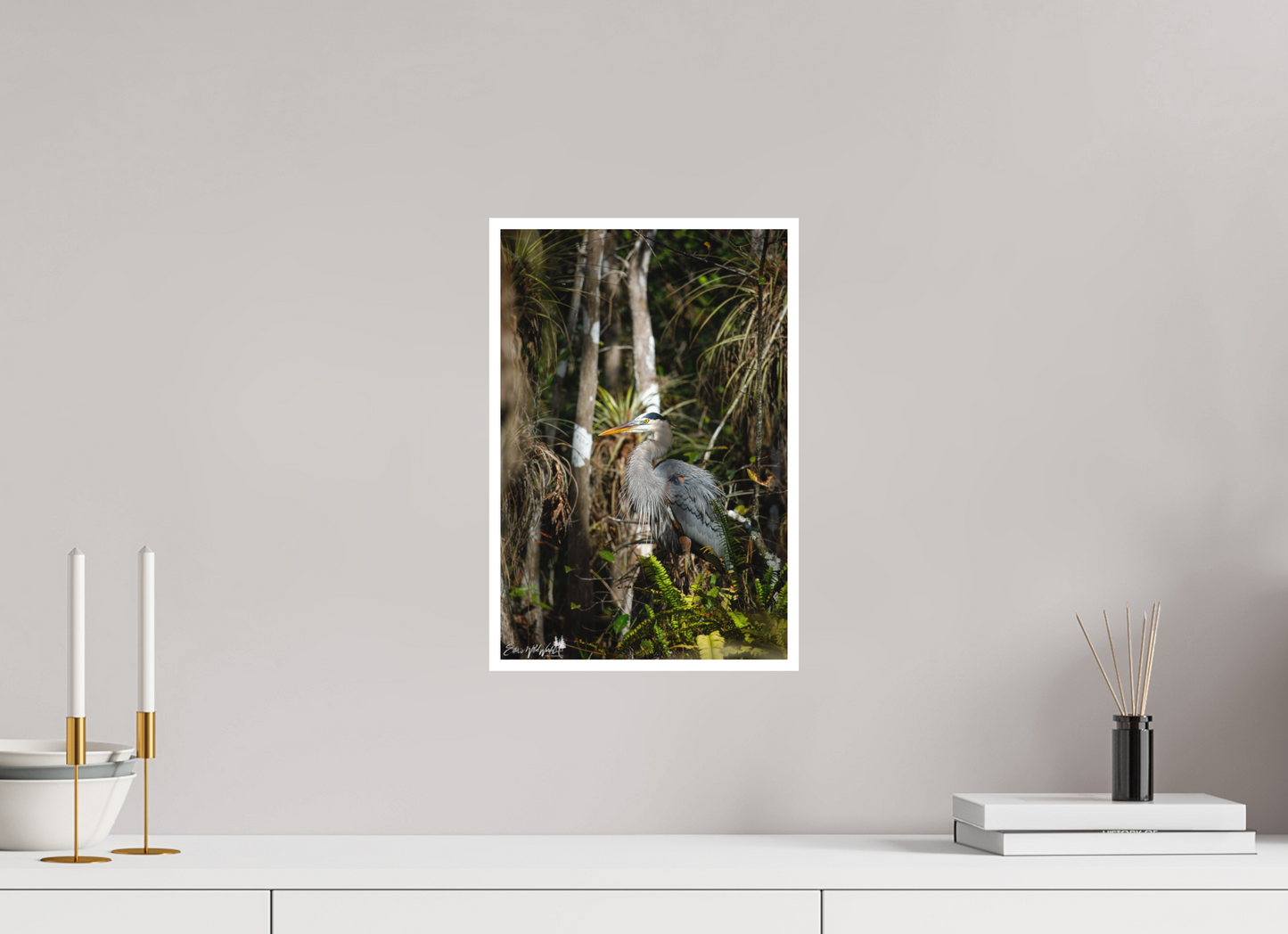 Great blue heron in the swamp