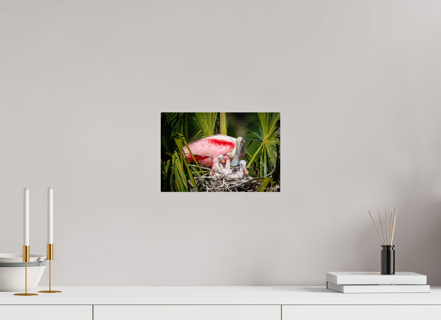 Spoonbill with teaspoons