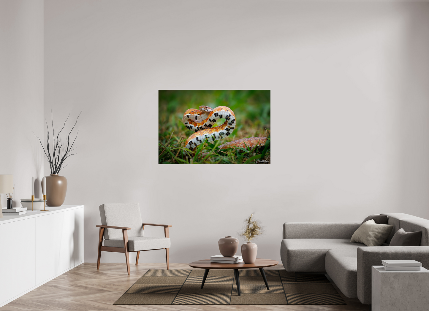 54 x 36″, Acrylic "Wild Pattern" - Florida Corn Snake
