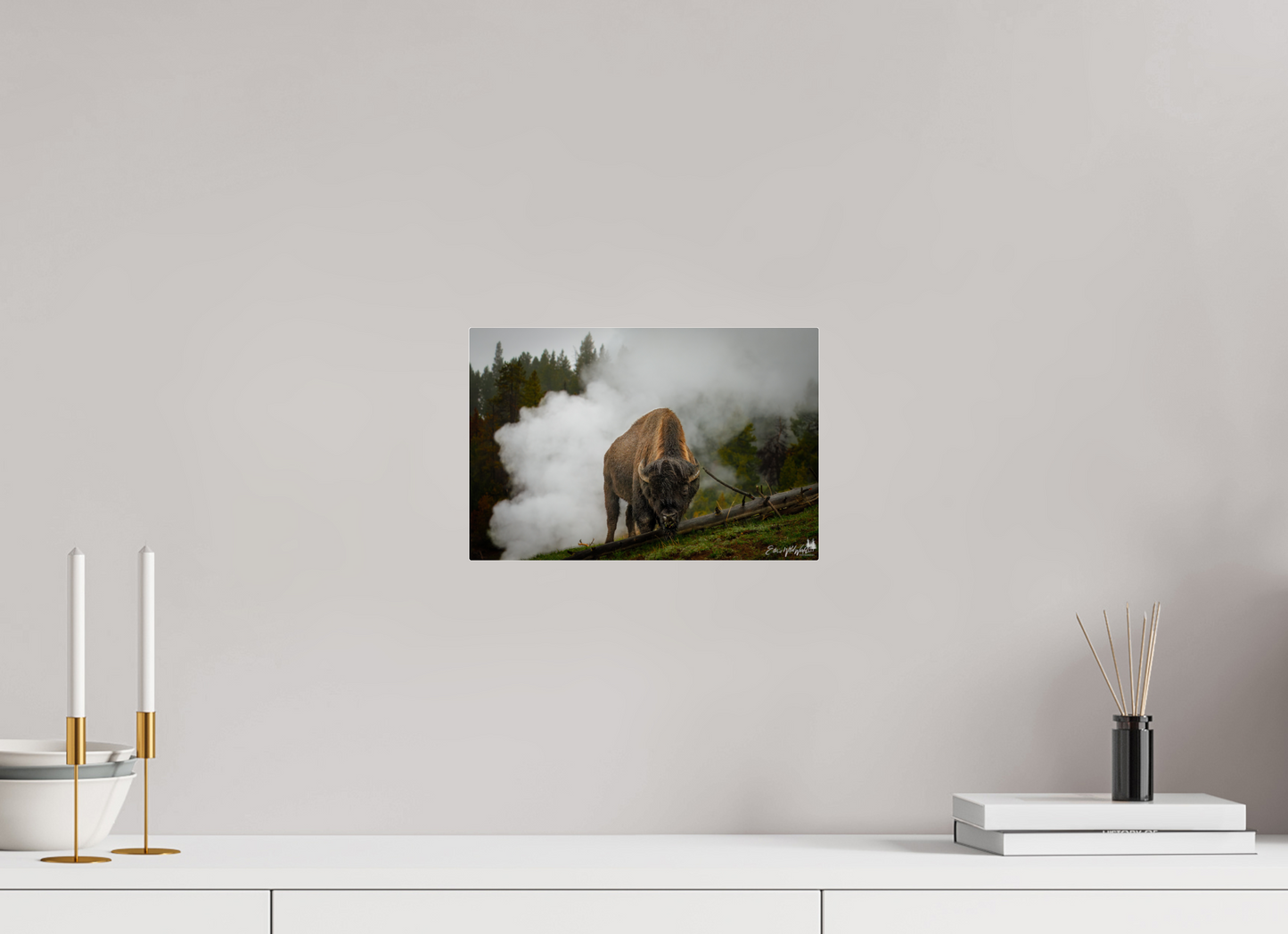 Bison in the fog