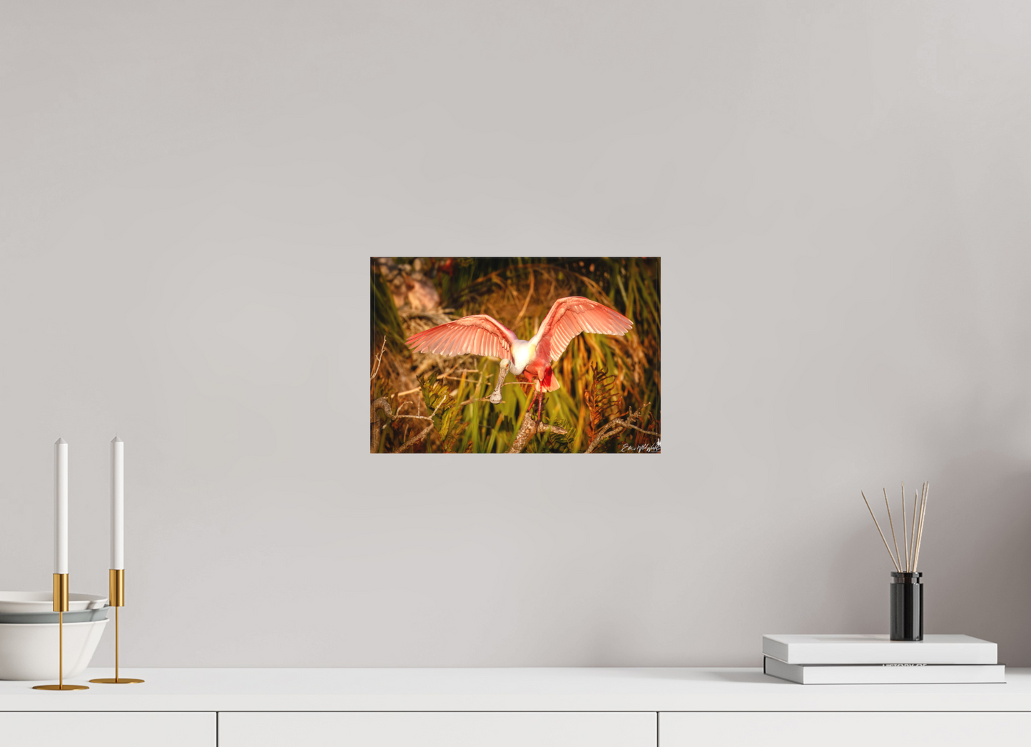 Sunset spoonbill