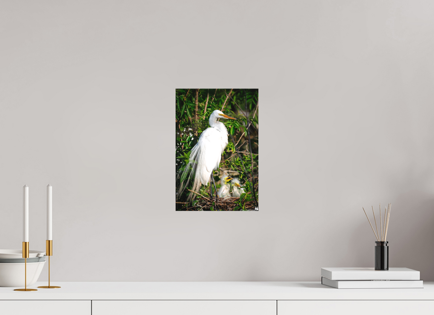 Great egret with chicks