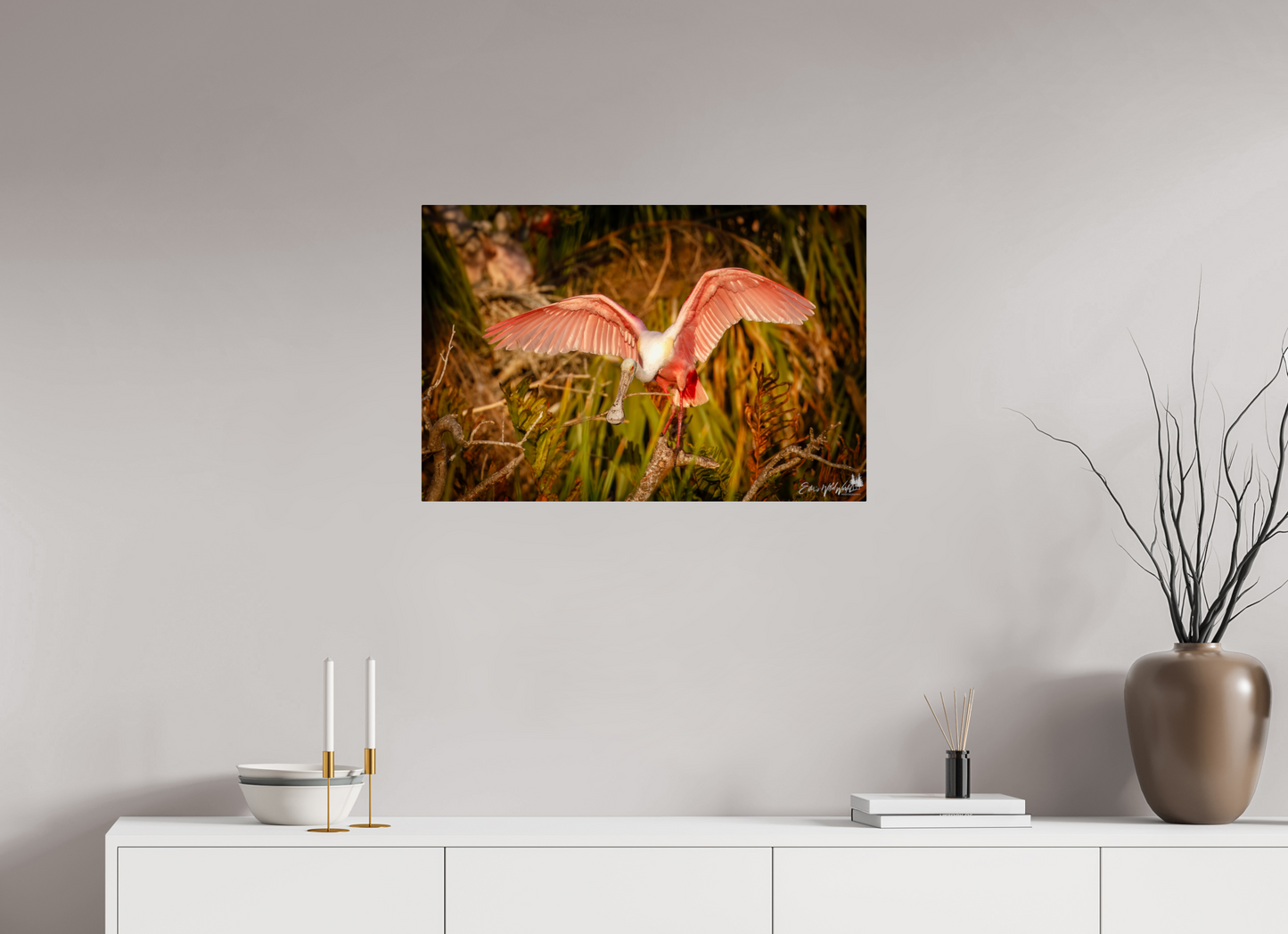 Sunset spoonbill