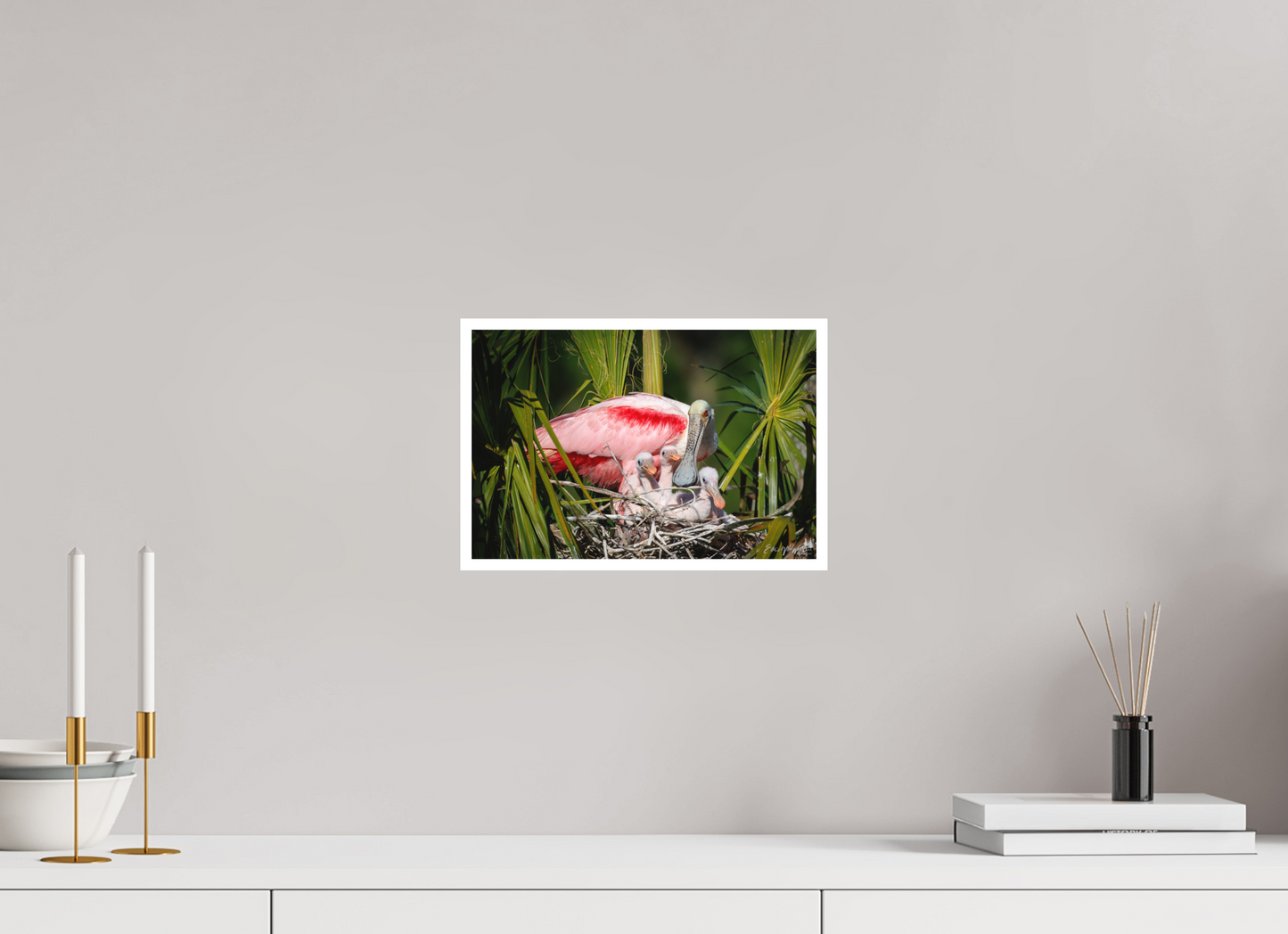 Spoonbill with teaspoons
