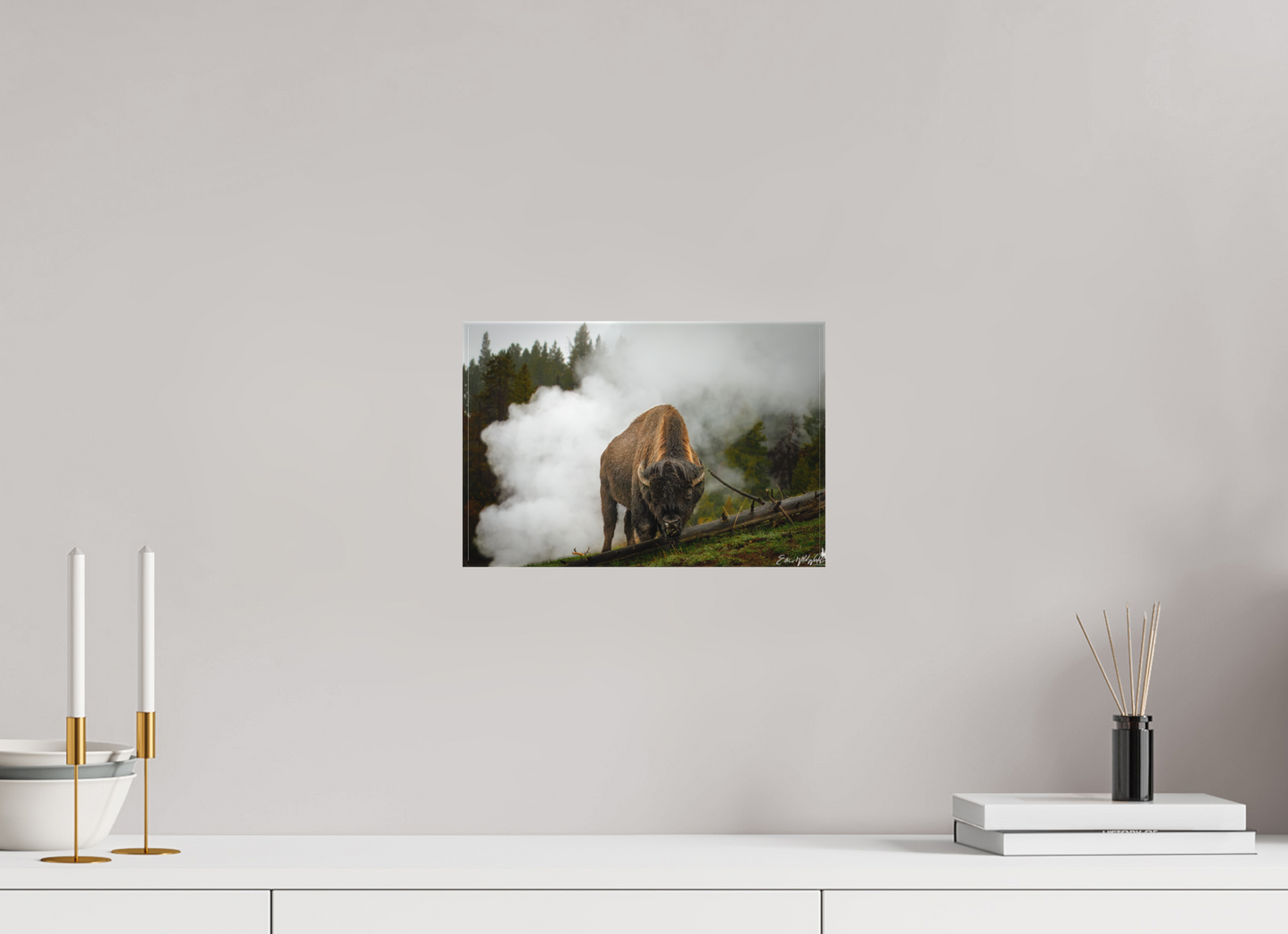 Bison in the fog