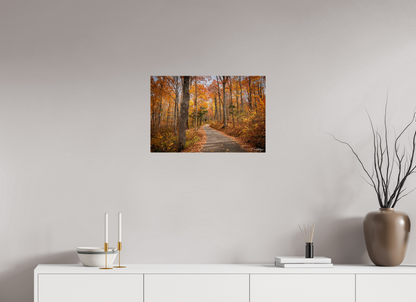 24 x 16″, Metal "Golden Path" - Roaring Fork Road