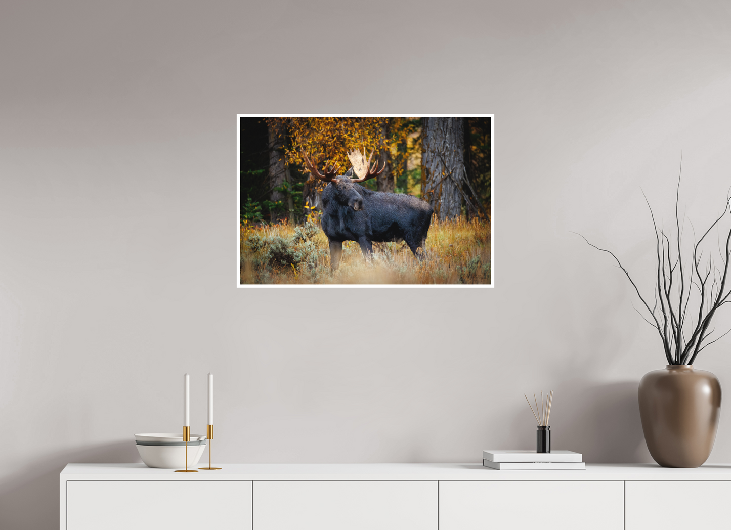 30 x 20″, Fine art print "Guardian of the Gros Ventre" - Bull moose