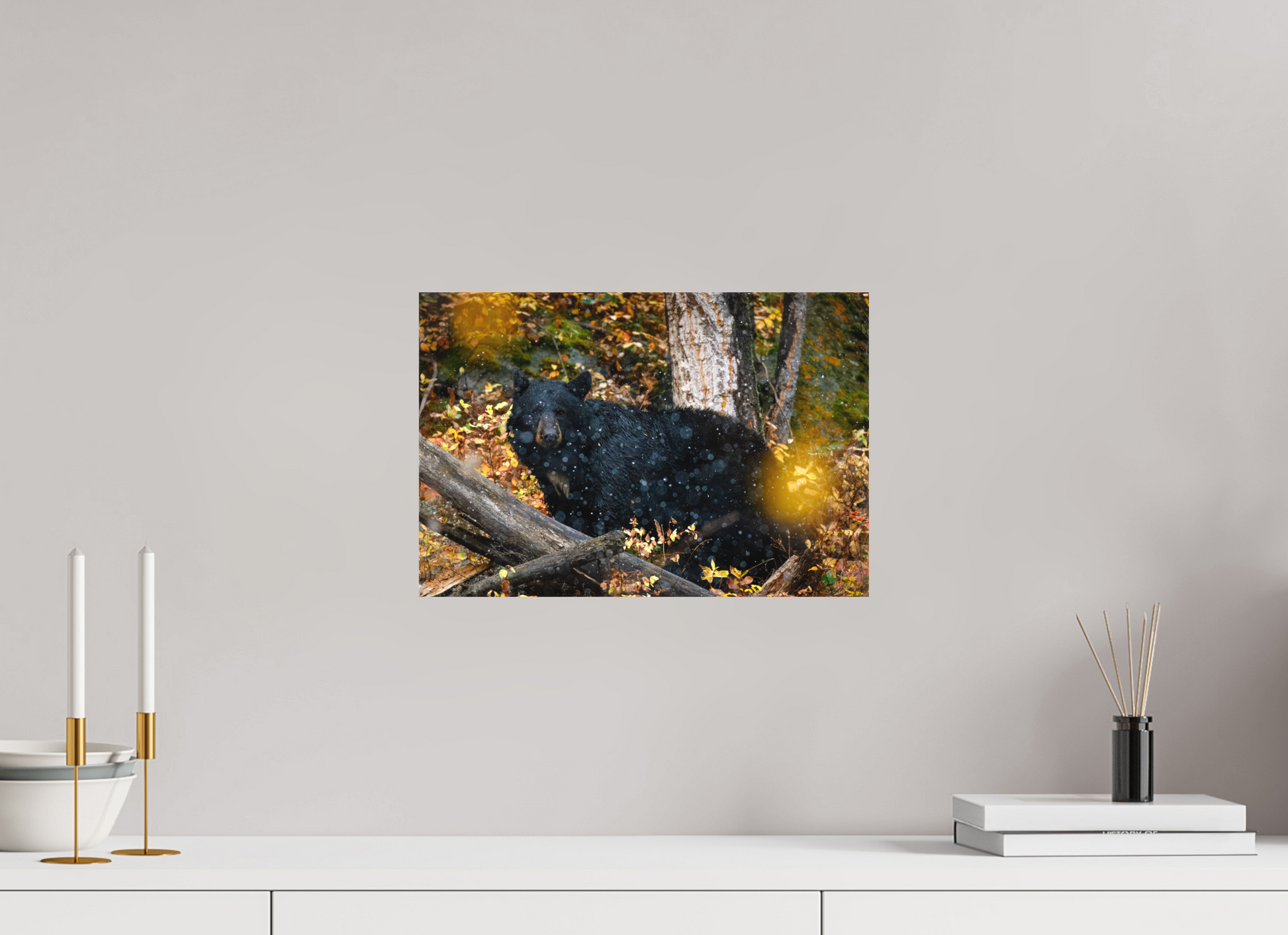 15 x 10″, Canvas "Between Seasons" - Black Bear