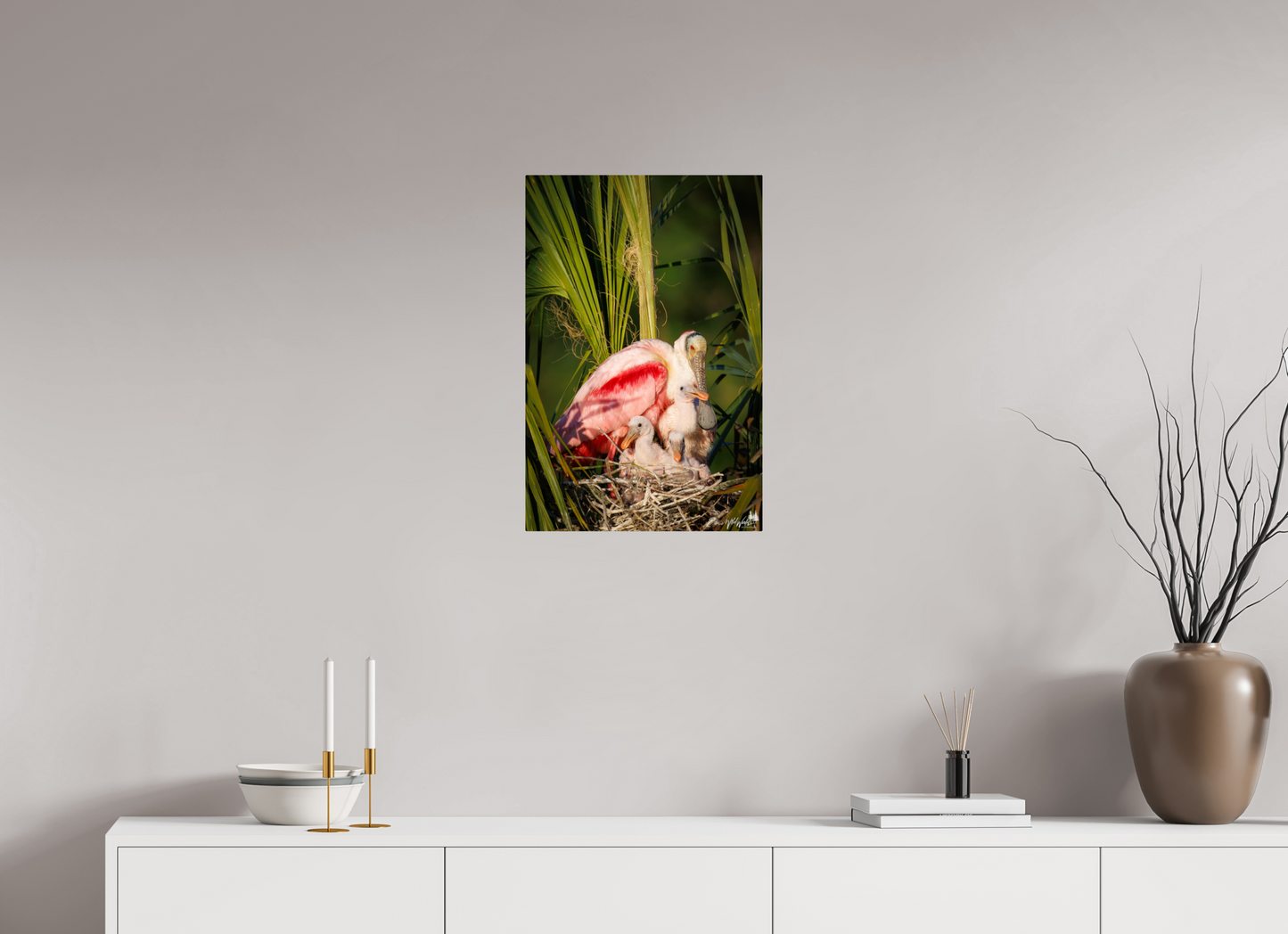 Spoonbill family
