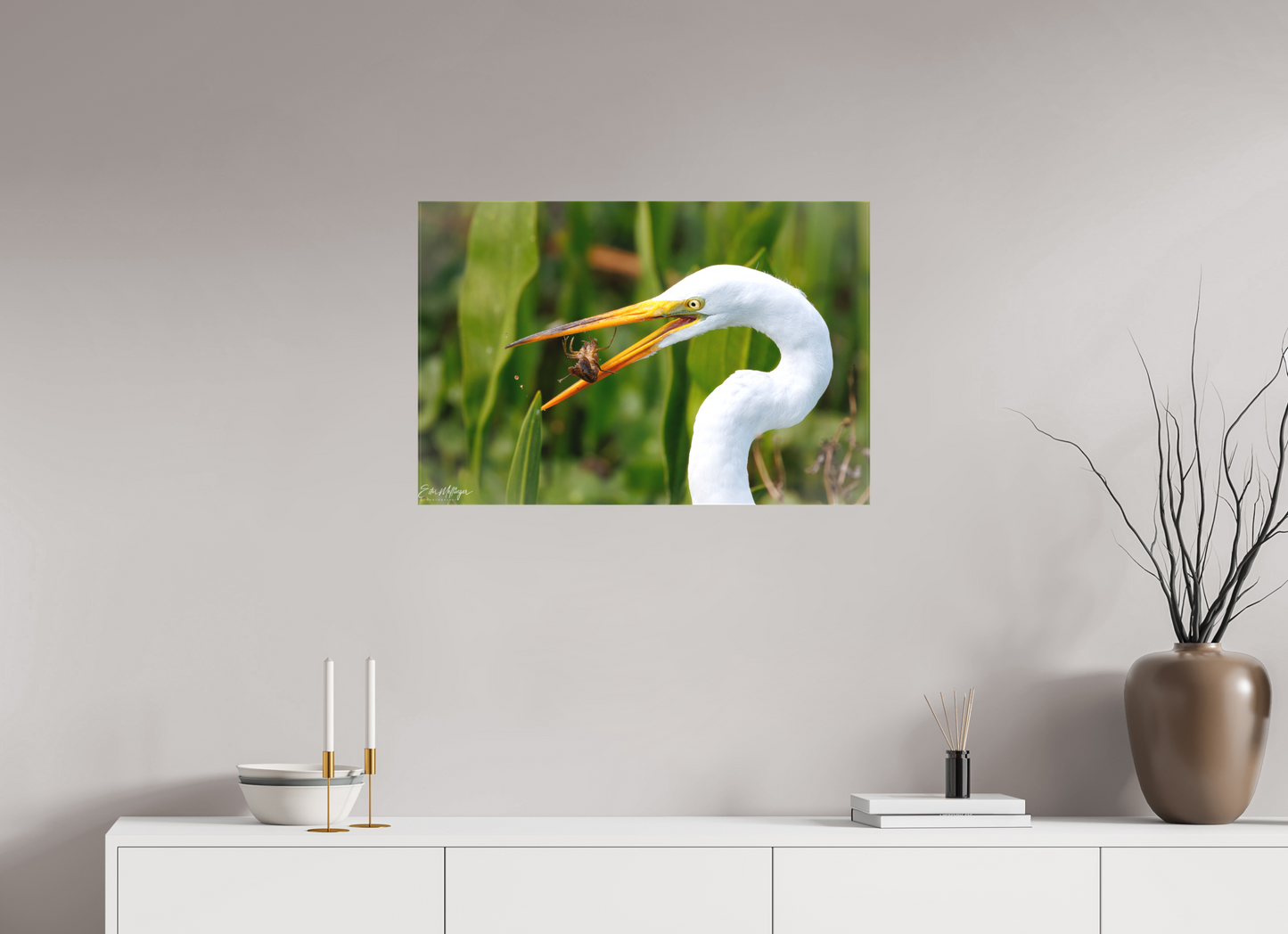30 x 20″, Canvas "Marsh Hunter" - Great Egret