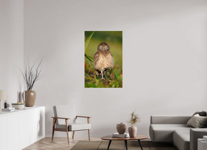 30 x 45″, Metal "Little Lookout" - Burrowing owlet