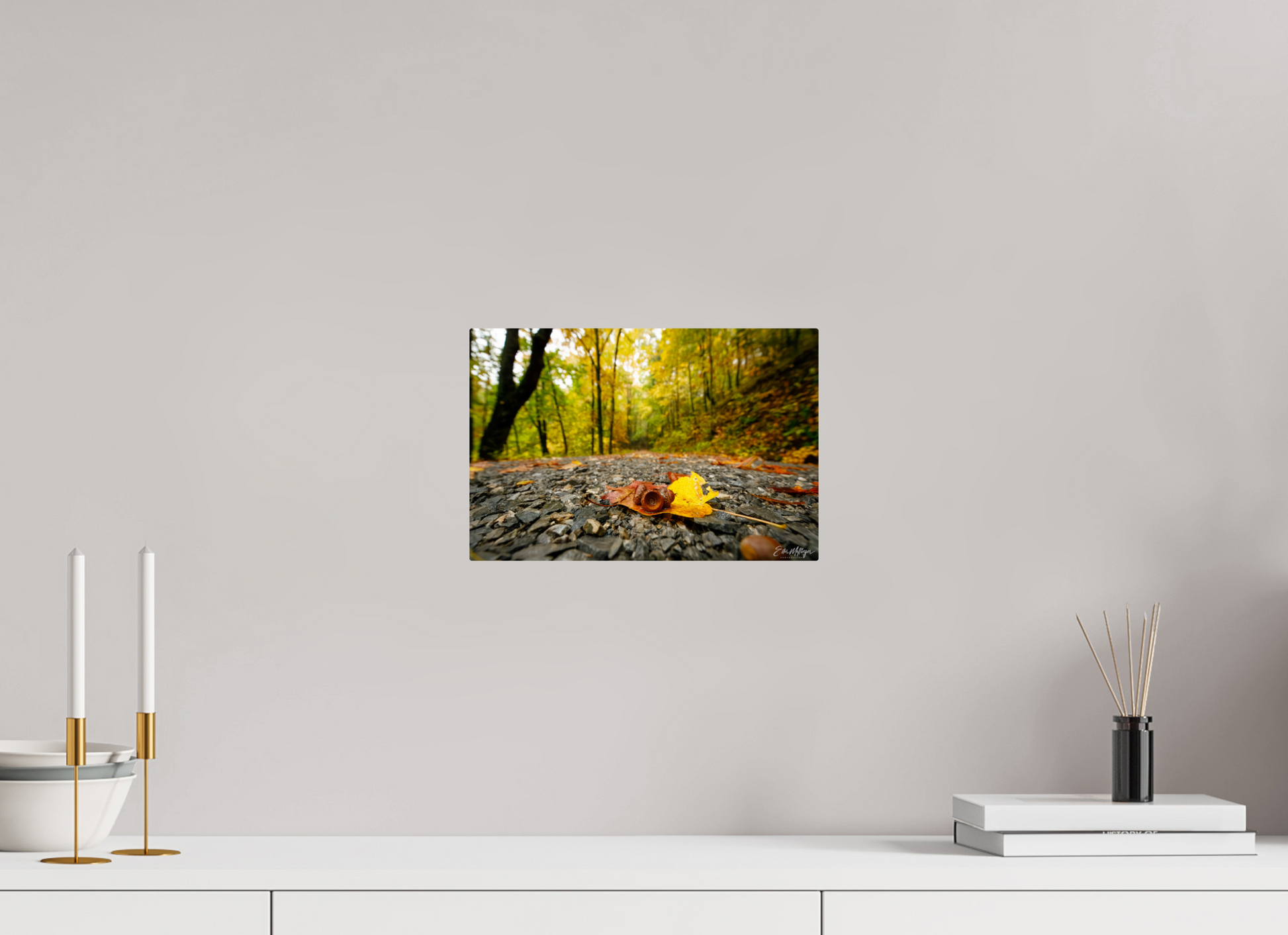 12 x 8″, Metal "The Long Way Home" - Cades Cove