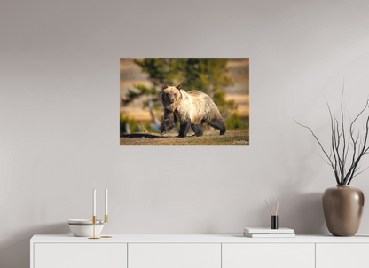 30 x 20″, Canvas "River Run" - Grizzly Bear