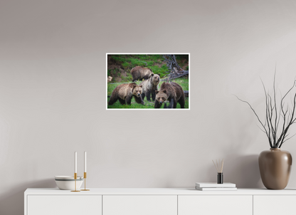 24 x 16″, Fine art print "Family Watch" - Grizzly Bears