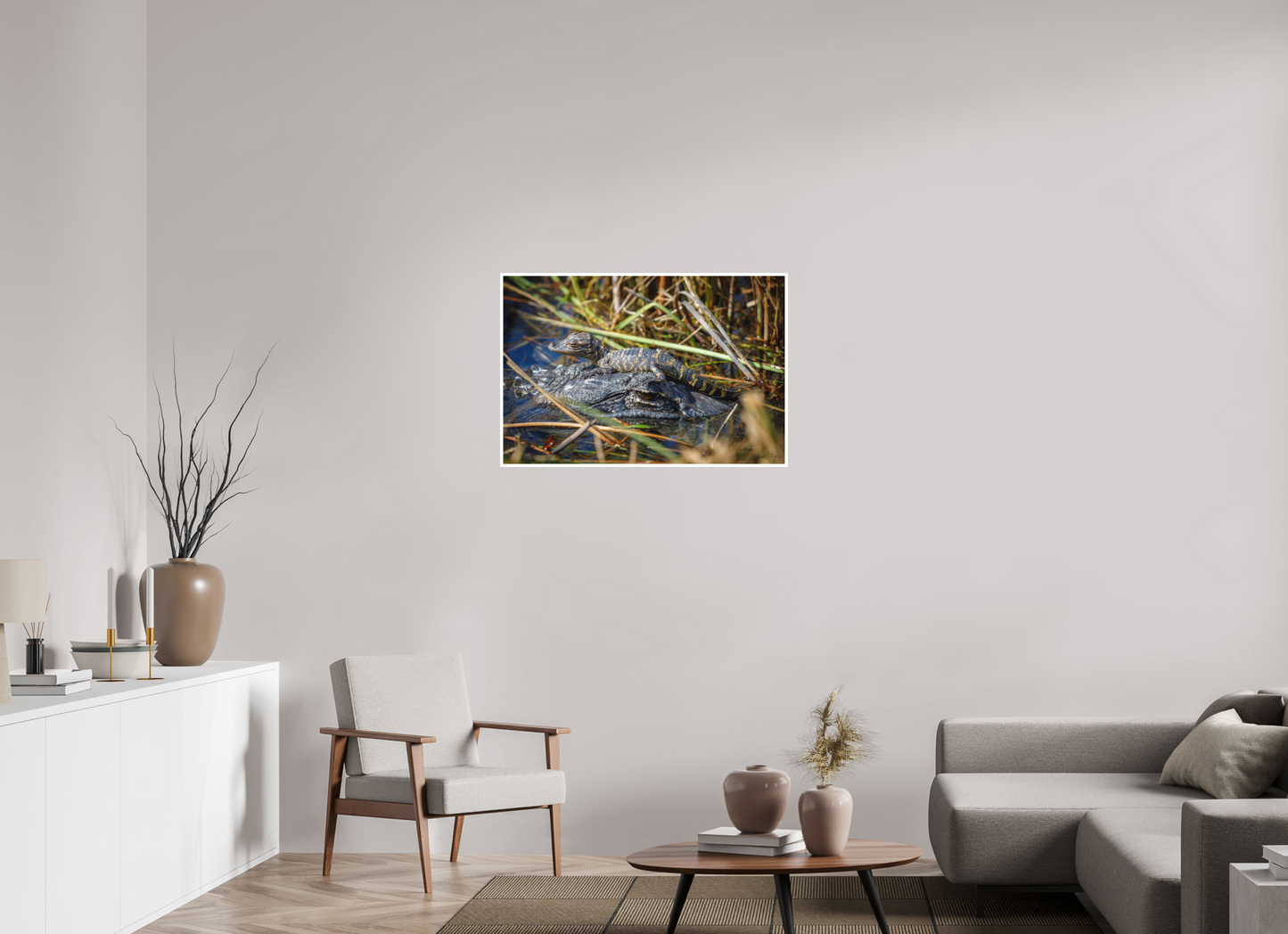 36 x 24″, Fine art print "Perched Above" - Baby Alligator