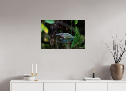 30 x 20″, Metal "Reflections in the Cypress" - Green Heron