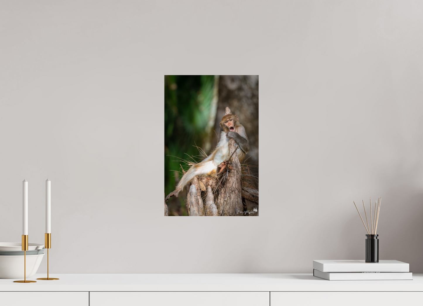 Singing monkey