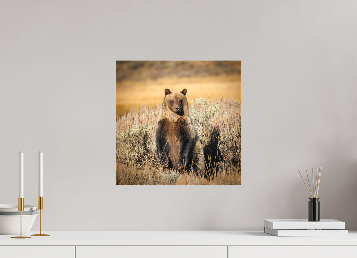 15 x 15″, Canvas "Standing Tall" - Grizzly Bear