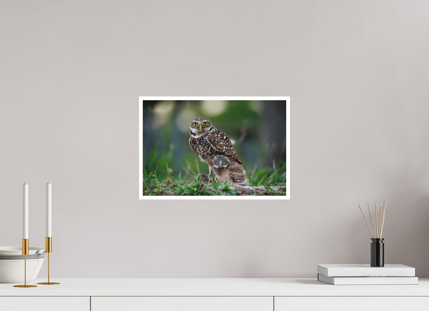 15 x 10″, Fine art print "Burrowlight" - Burrowing Owls