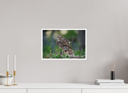 15 x 10″, Fine art print "Burrowlight" - Burrowing Owls