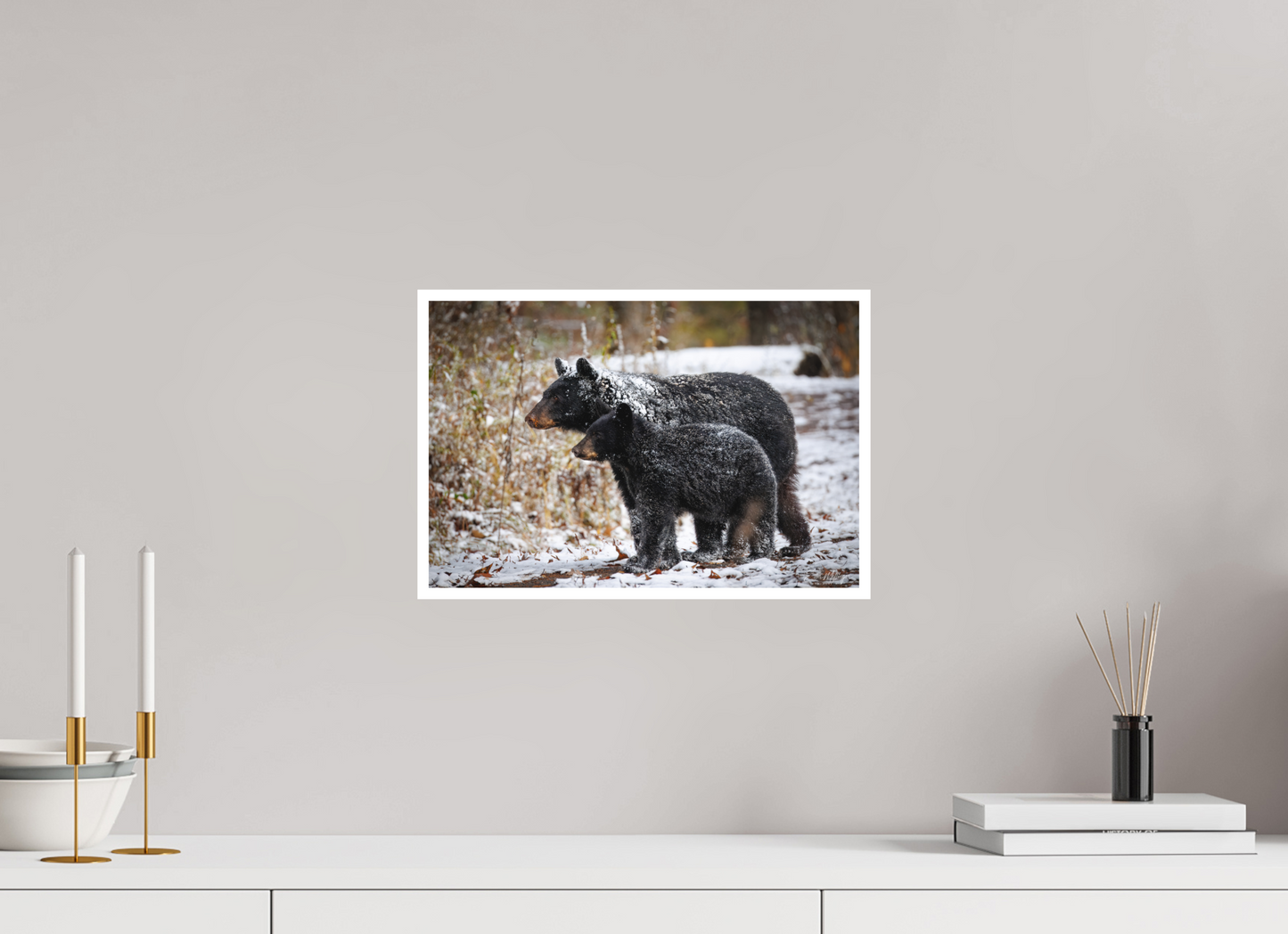 15 x 10″, Fine art print "Guardians of the Snow" - Black Bears