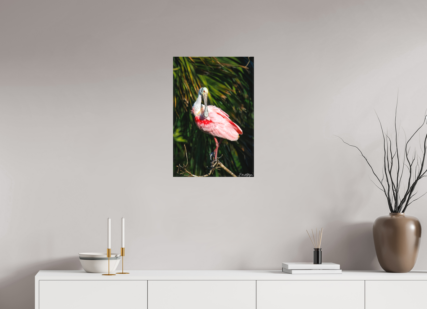 16 x 24″, Canvas "Blush of the Wetlands" - Roseate Spoonbill