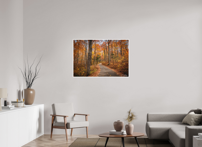 45 x 30″, Fine art print "Golden Path" - Roaring Fork Road