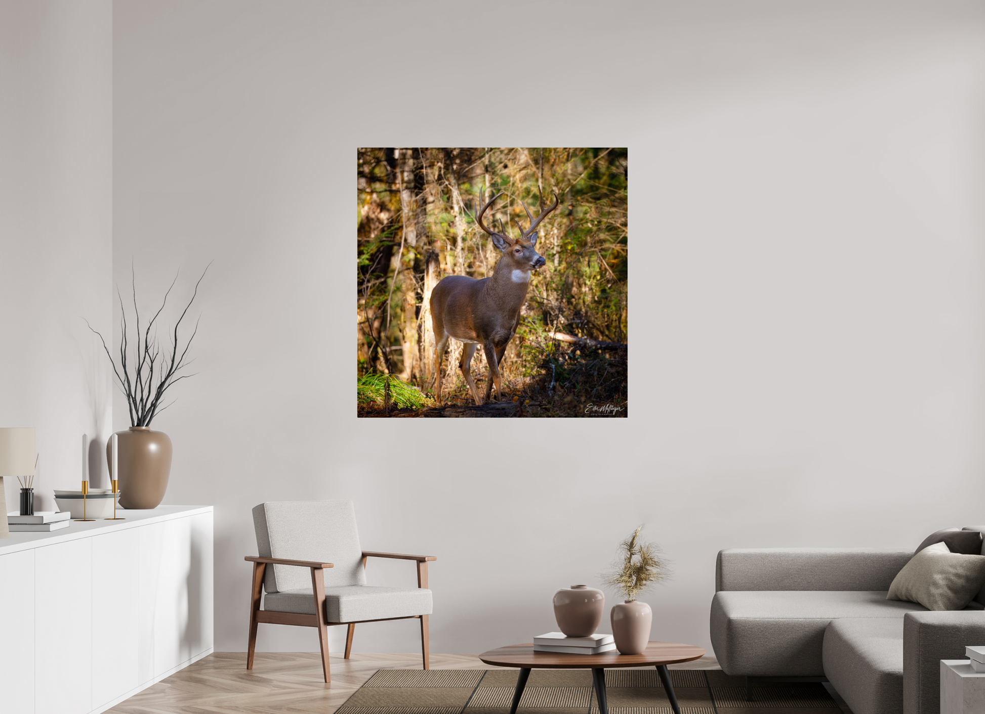 45 x 45″, Metal "King of the Timberline" - White-tailed Buck